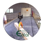 ponte rolante ponte rolante